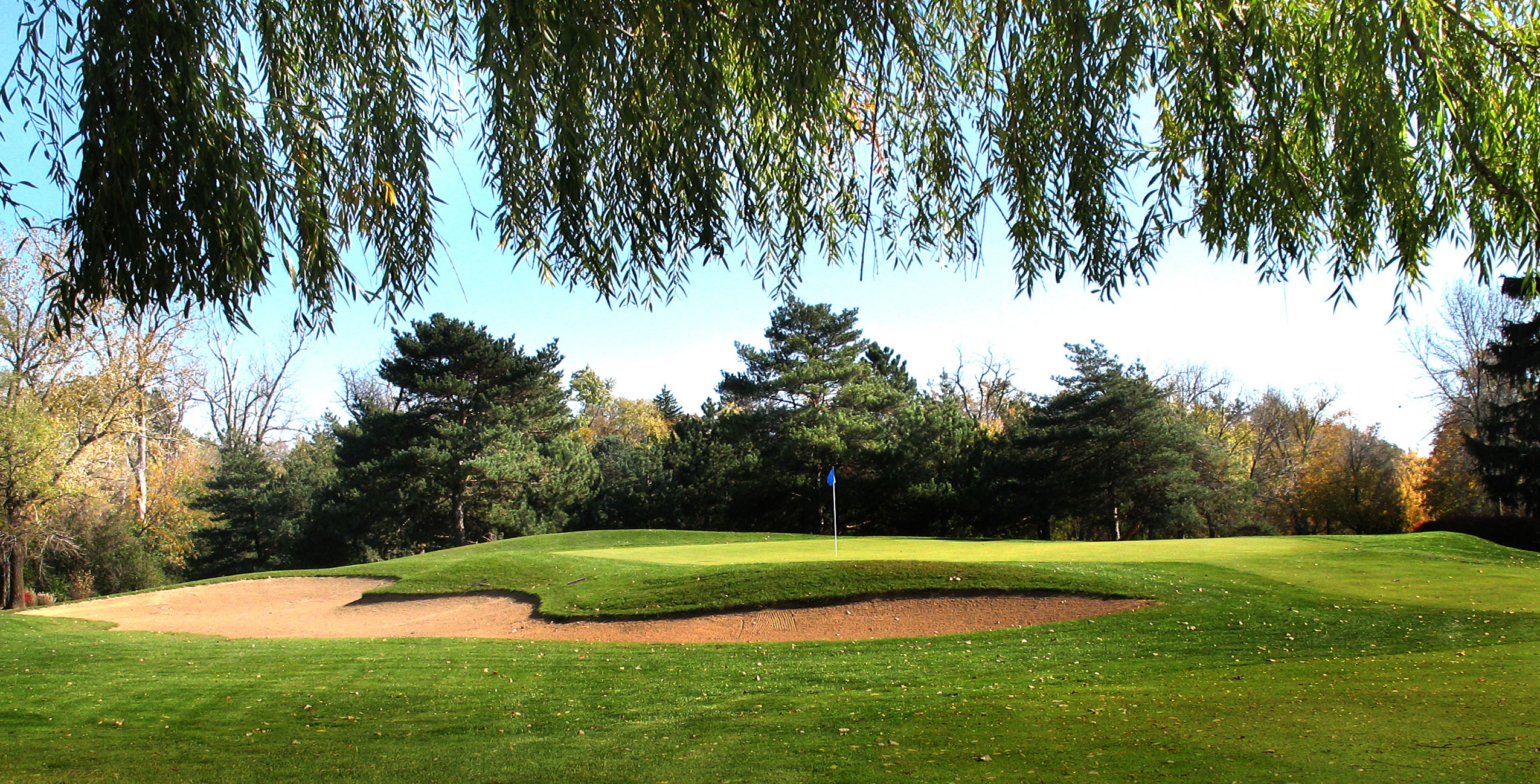 homepage image of golf course with willow tree in foreground